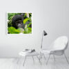 Peekaboo - Image 4