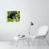 Peekaboo - Image 2