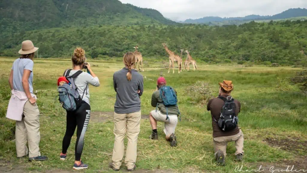 Walking Safari Arusha National Park, Tanzania