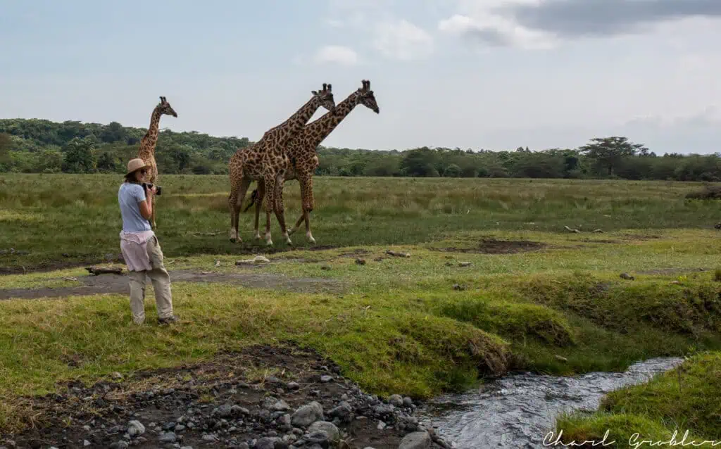Prints Across Africa 