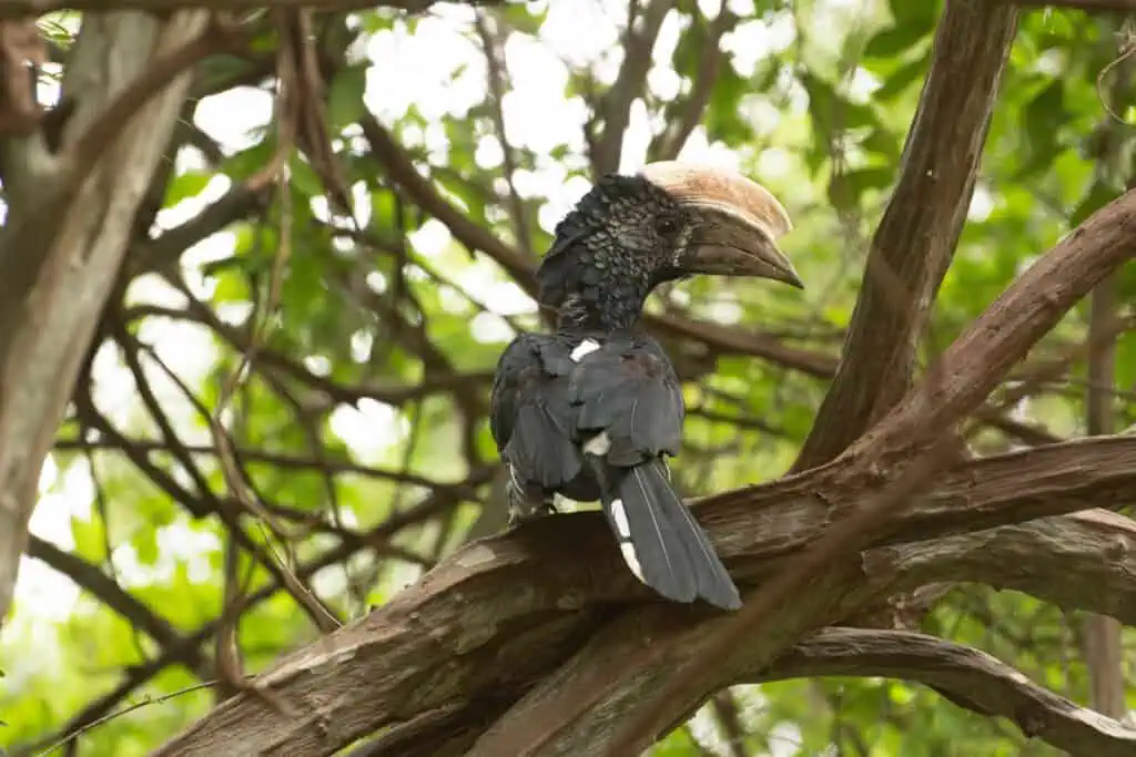 Karatu school trip-152