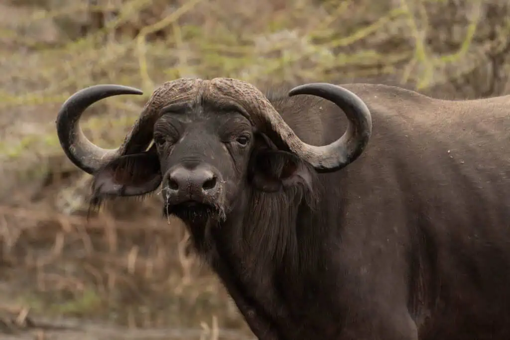 Karatu school trip-155