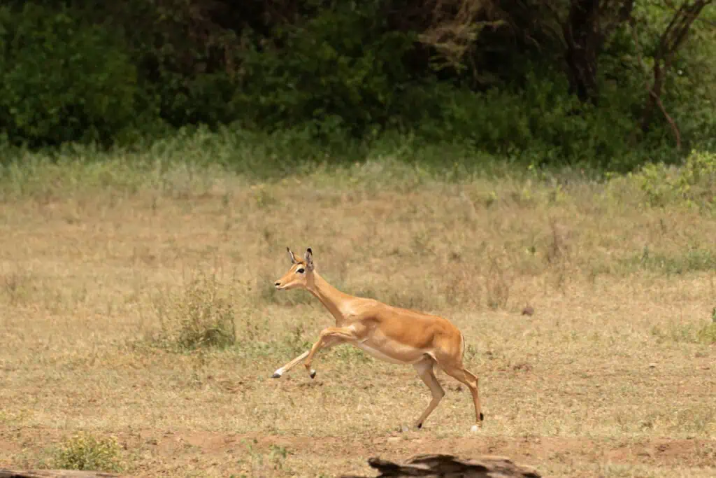 Karatu school trip-162