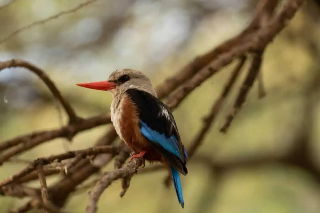 Karatu school trip-166