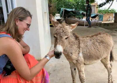 Donkey in Lamu