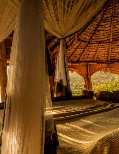 View through the netting to te Kenyan bush