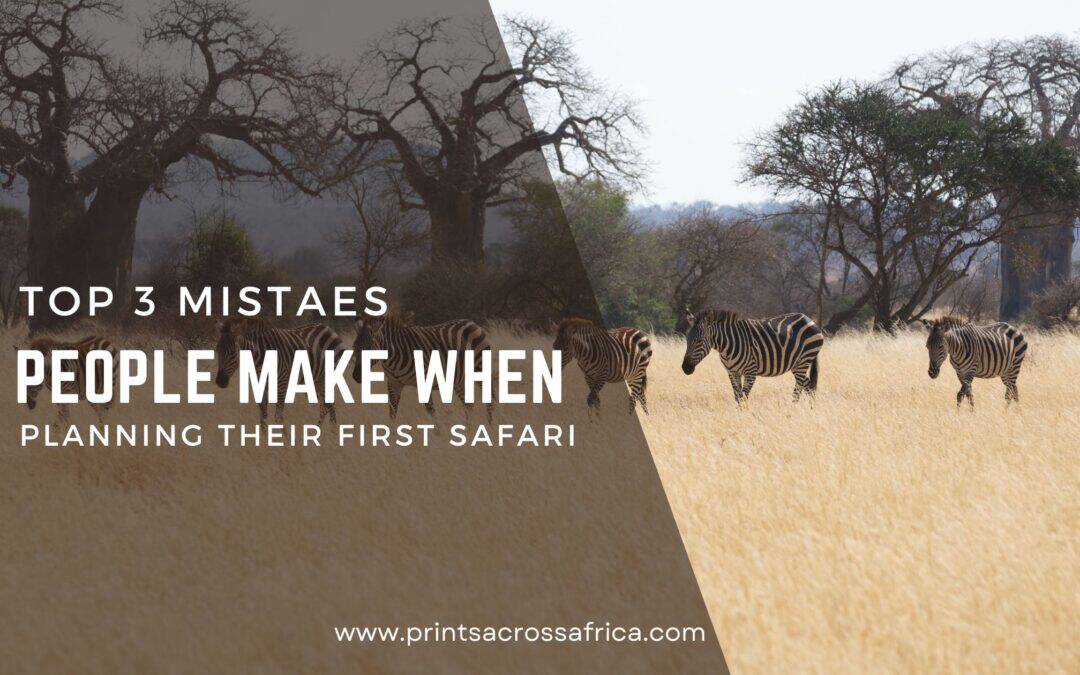 Top 3 mistakes people make when planning a safari