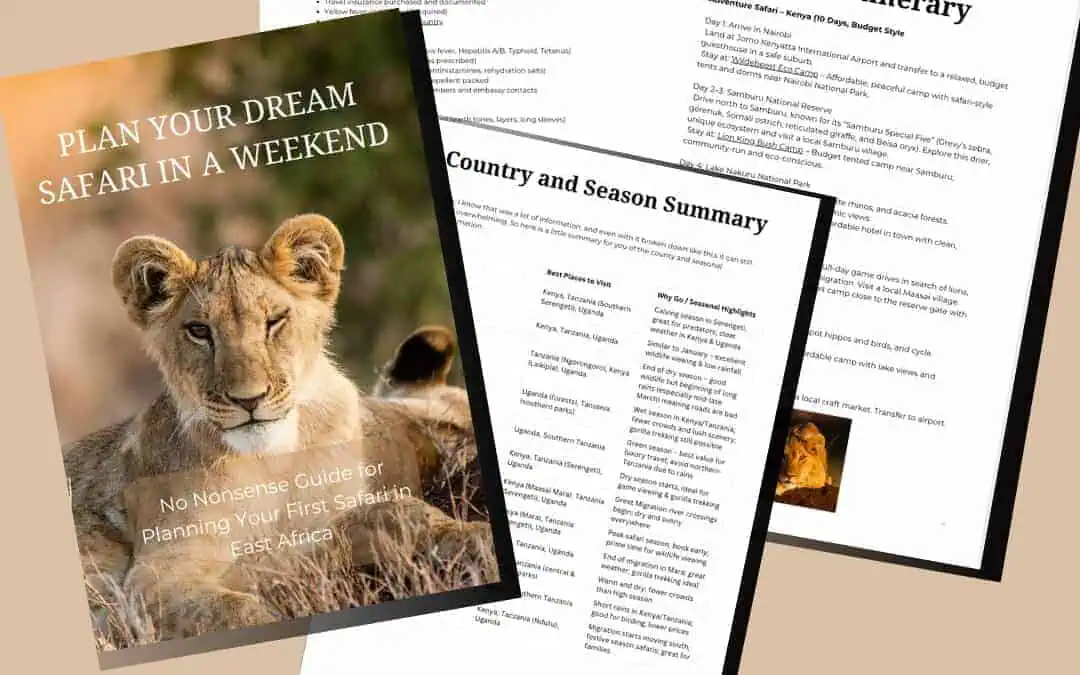 How to Plan a Safari in a Weekend