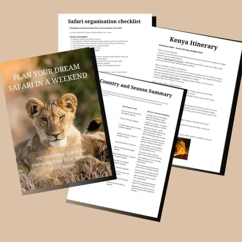 African safari planning guide with lioness image, highlighting best African safari destinations, itineraries, and seasonal recommendations for an unforgettable East Africa adventure.
