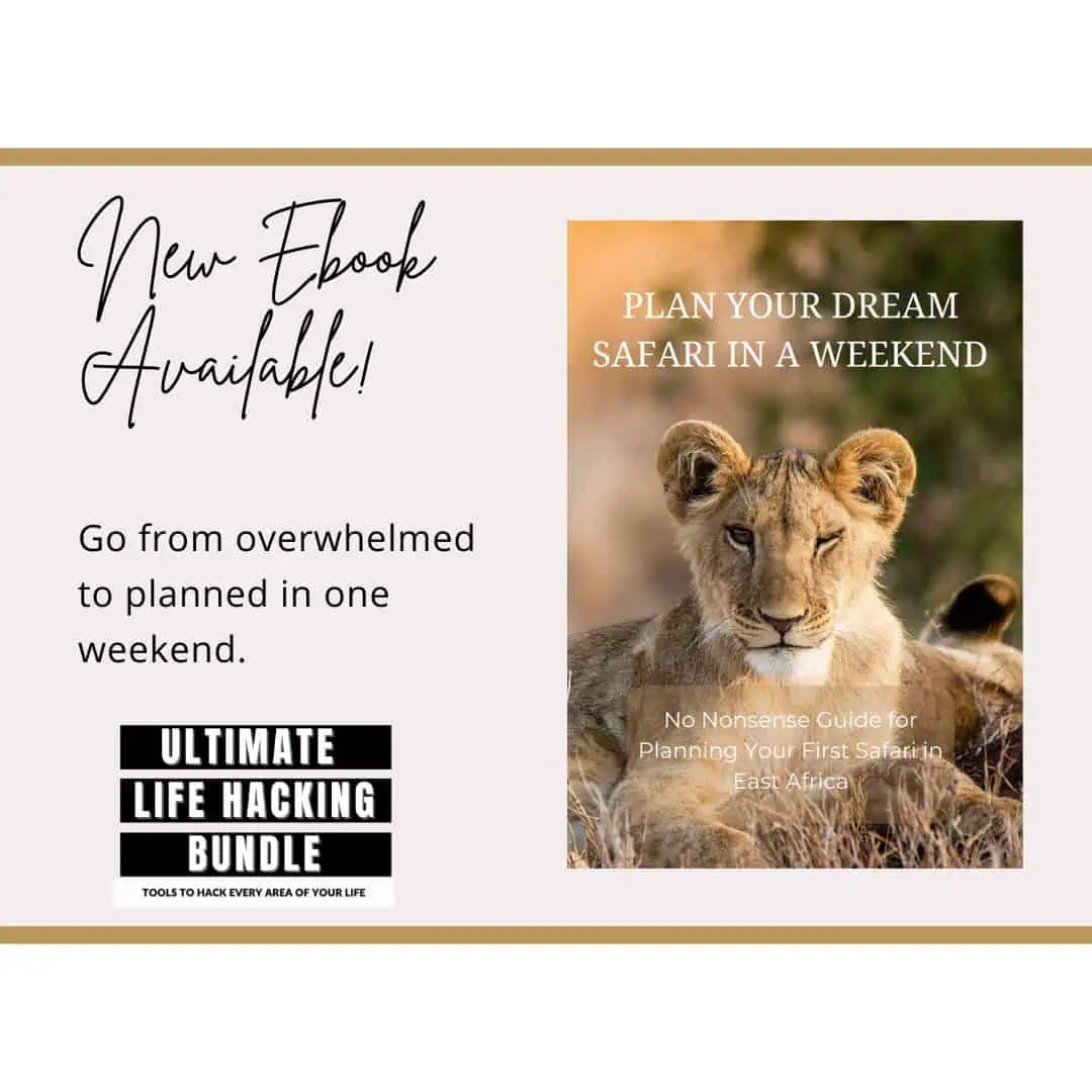 Plan your dream safari in a weekend