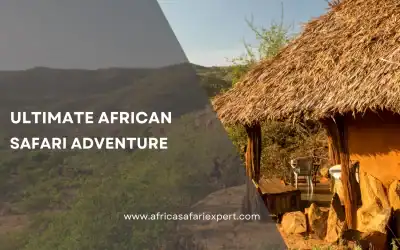 Ultimate African Safari Adventure
