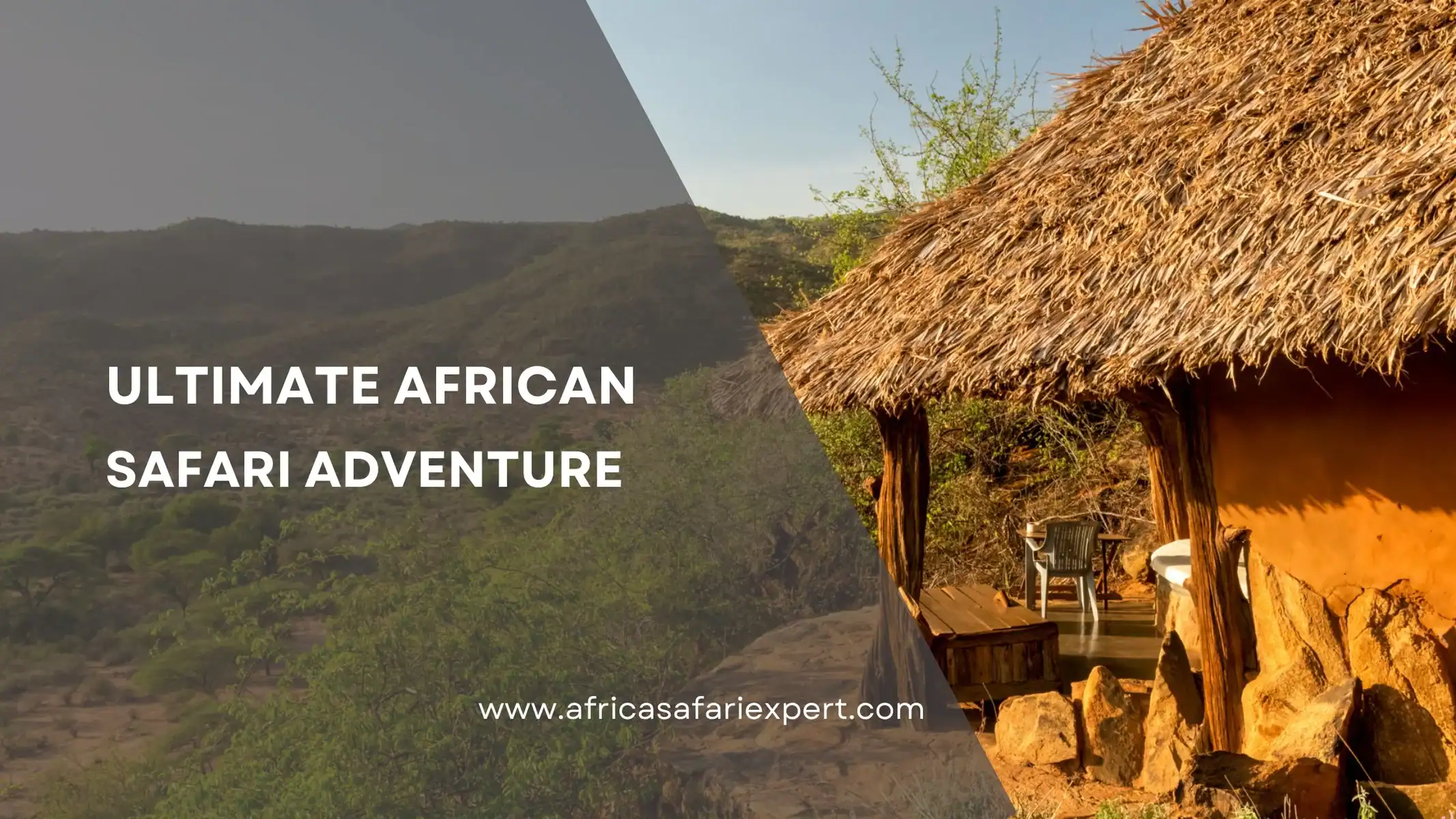 Ultimate African Safari Adventure