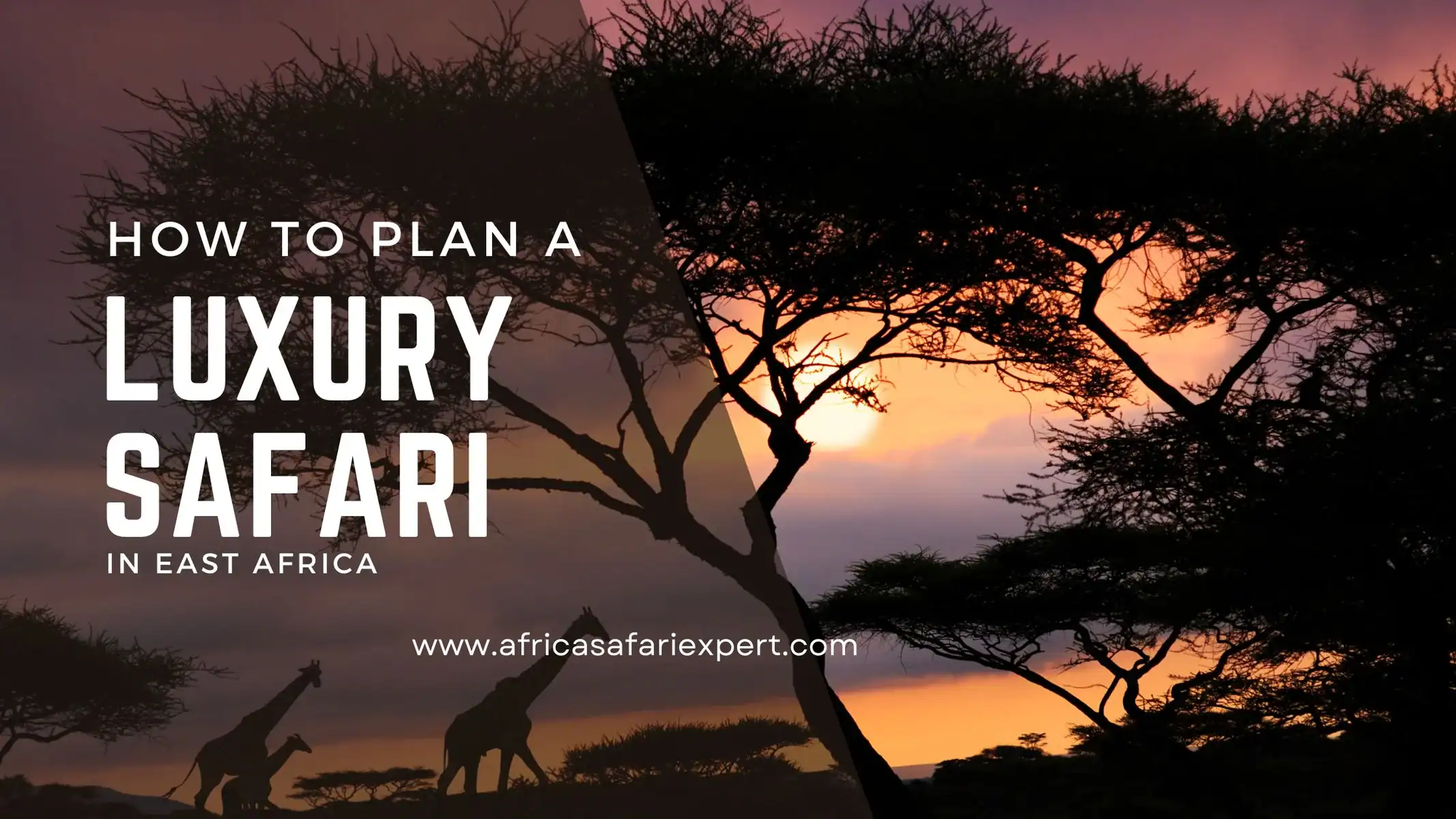 An expansive view of an African sunset with silhouetted acacia trees and giraffes, capturing the essence of a luxury safari experience in East Africa.