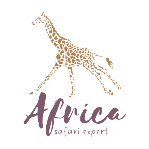 Africa Safari Expert